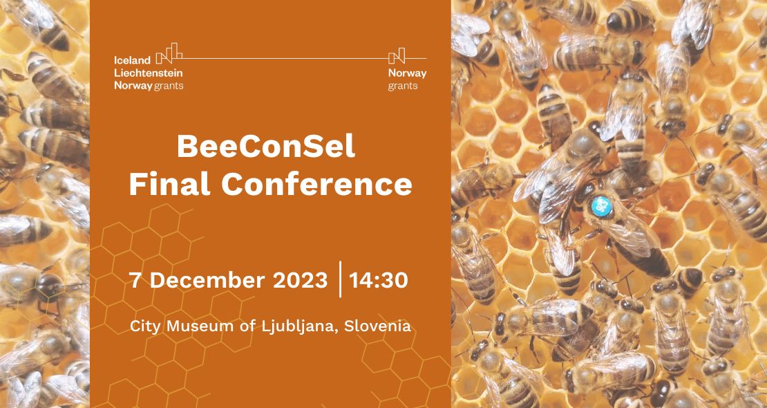 Invitation to the BeeConSel Final Conference