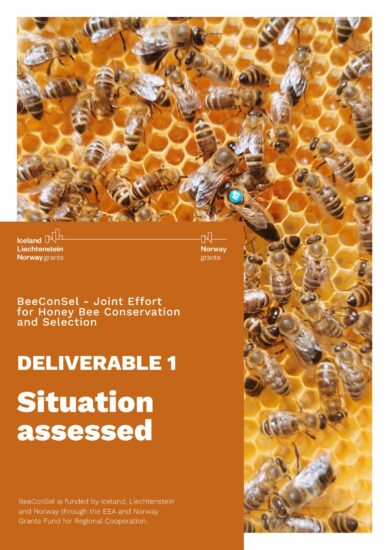 Deliverable 1: Situation assessed